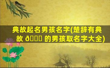 典故起名男孩名字(楚辞有典故 🍁 的男孩取名字大全)